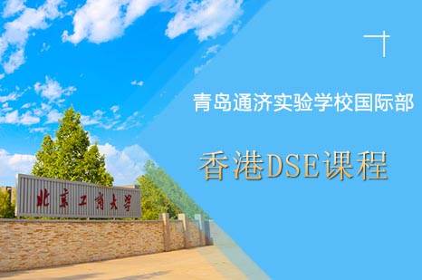 国际部香港DSE课程