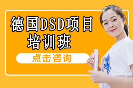 德国DSD项目培训班