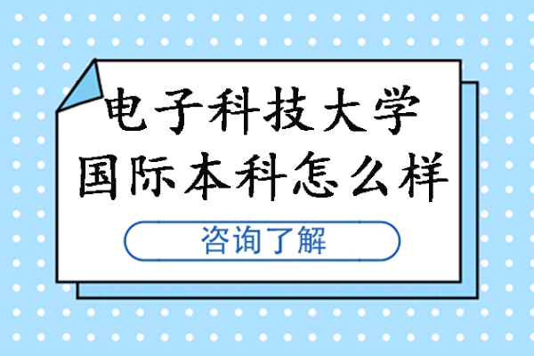 北京电子科技学院国际本科项目深度解析：教育优势与学位认证指南