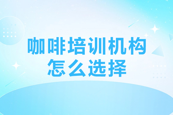 广州精品咖啡培训挑选全攻略：五大维度精准避坑指南