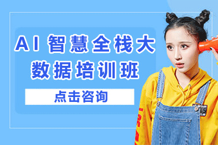 AI智慧全栈大数据培训班