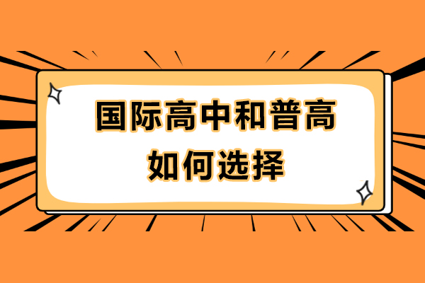 国际教育路径深度解析：普高与国际化课程体系对比指南