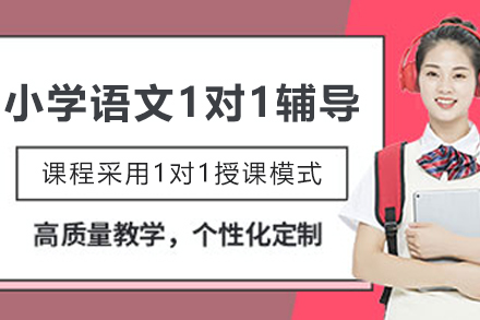 遵义小学语文1对1辅导班