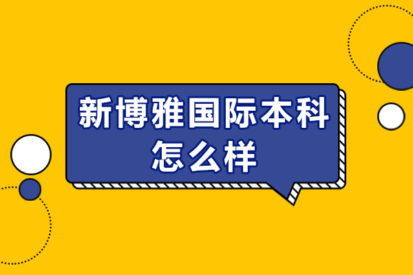 北京新博雅国际本科项目深度解析与择校指南