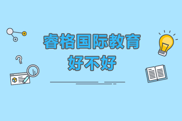 深圳睿格国际教育深度解析：课程体系与教学特色全揭秘