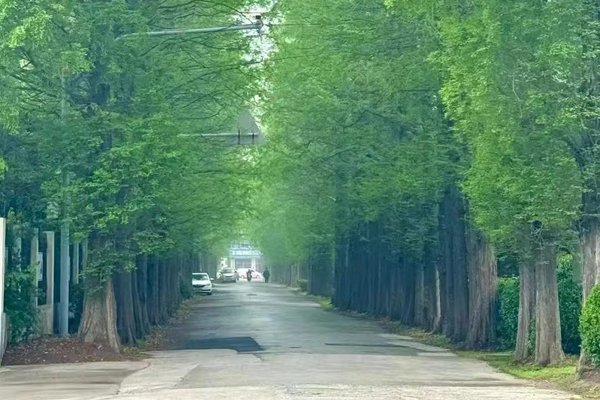 校园一角环境