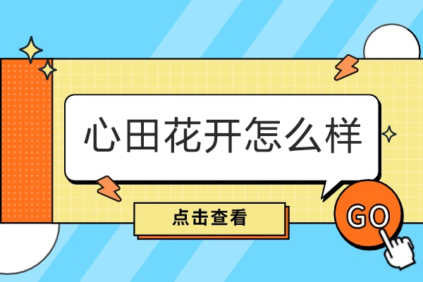 成都心田花开教育机构五大特色解析