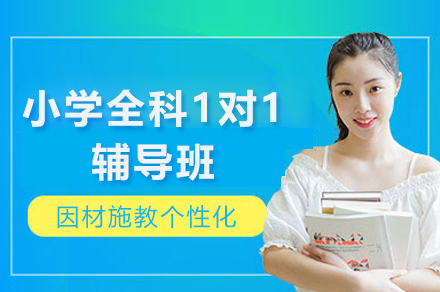 遵义小学全科1对1辅导班