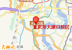 重庆市大渡口校区