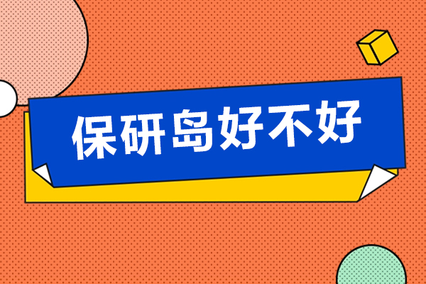 保研岛深度解析：一站式保研辅导真实体验
