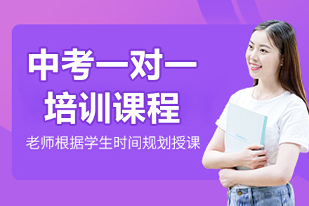 广州中考一对一培训课程