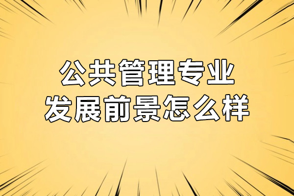 公共事业管理专业职业规划与考研路径深度解析