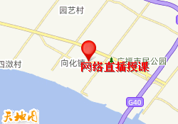 网络直播授课