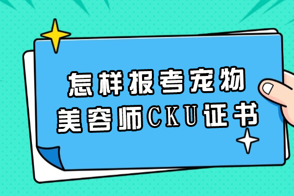 怎样报考宠物美容师CKU证书