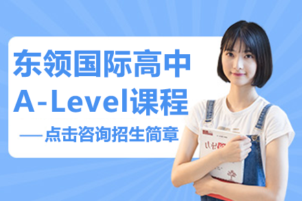 上海国际高中A-Level课程深度解析：个性化培养与全球升学路径