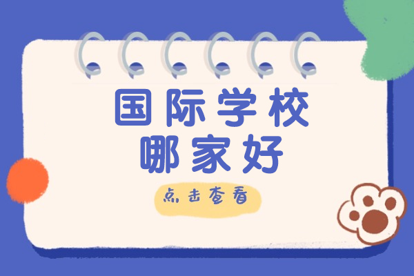 成都优质国际教育机构深度解析：特色课程与升学保障