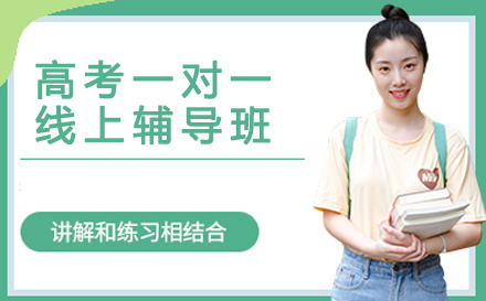 高考冲刺一对一辅导核心优势解析