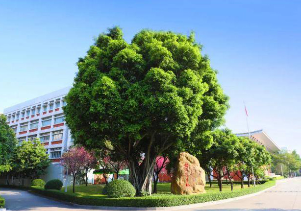 广东实验中学中英国际课程
