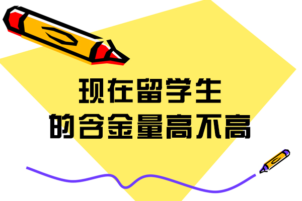 留学生核心竞争力解析：如何在国际化职场中脱颖而出