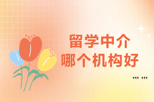 北京高端留学规划首选：朗阁教育服务体系全解析