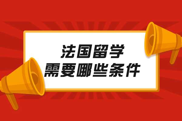 法国留学全攻略：从语言准备到签证全流程详解