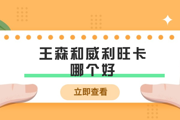 王森和威利旺卡哪个好-有什么区别