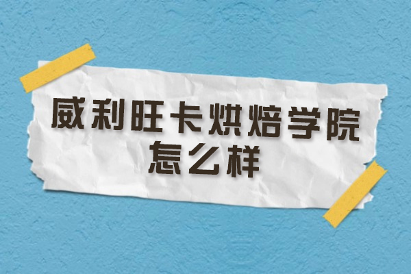 成都威利旺卡烘焙学院全方位解析：教学模式与课程亮点揭秘