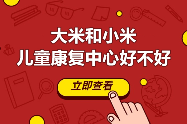 江门儿童康复机构深度解析：大米和小米干预体系效果实测