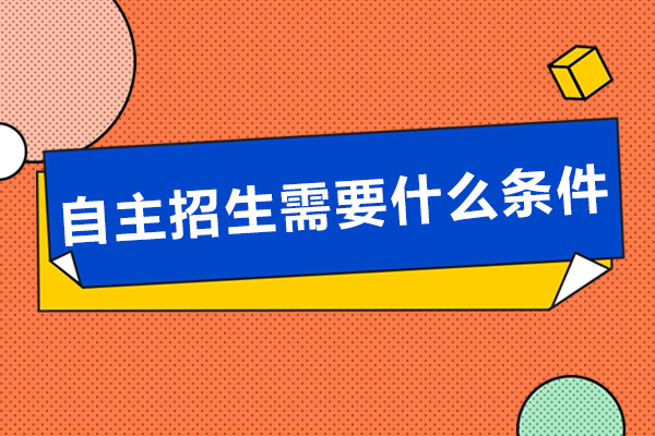 深圳自主招生全攻略：申请条件深度解析与实操建议
