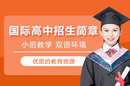 广州民心国际高中课程体系深度解析与择校指南