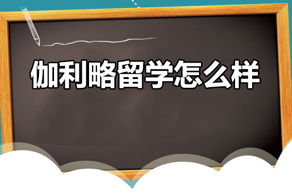 北京伽利略留学辅导深度解析：线上一对一教学优势与服务特色