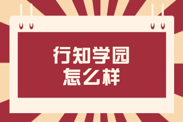 大连行知学园深度解析：教学特色与服务质量全测评