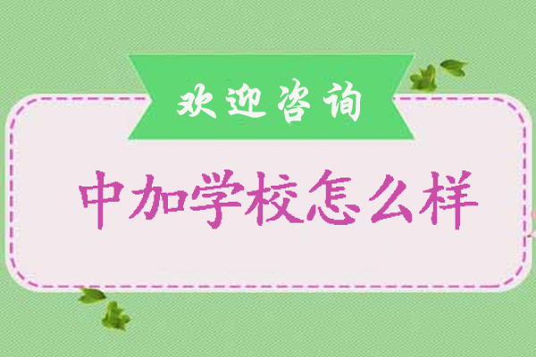北京中加学校教育模式深度解析：双语课程体系如何培养国际化人才