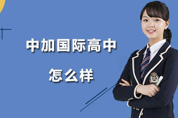 北京中加国际高中全解析：课程特色与升学优势揭秘