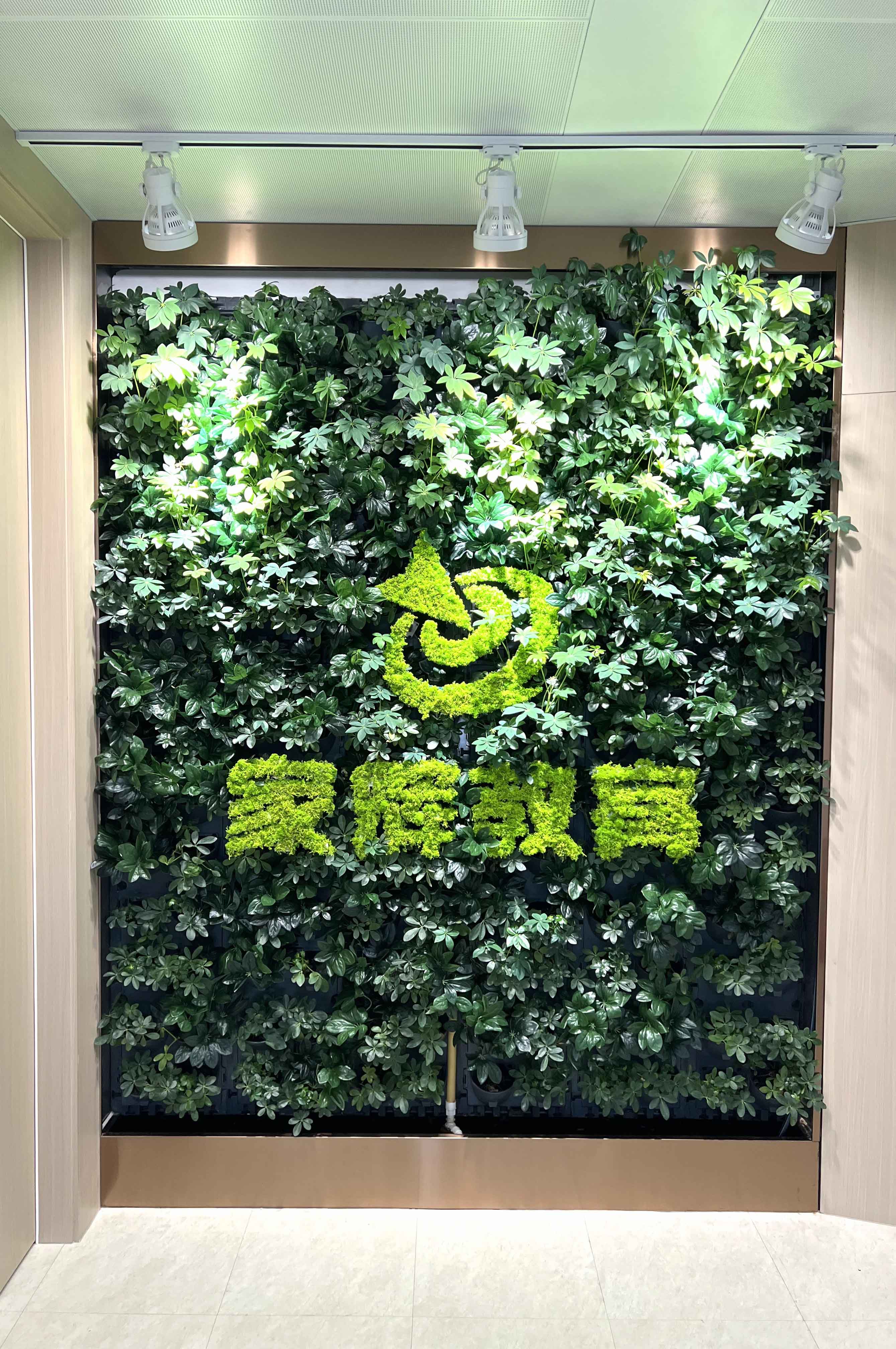 校区环境