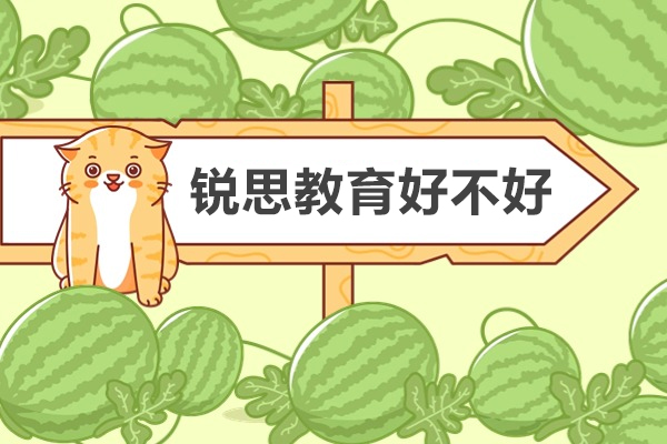 深圳锐思教育深度解析：三大核心优势全揭秘