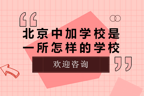 北京中加学校全方位解析：国际教育特色与升学优势