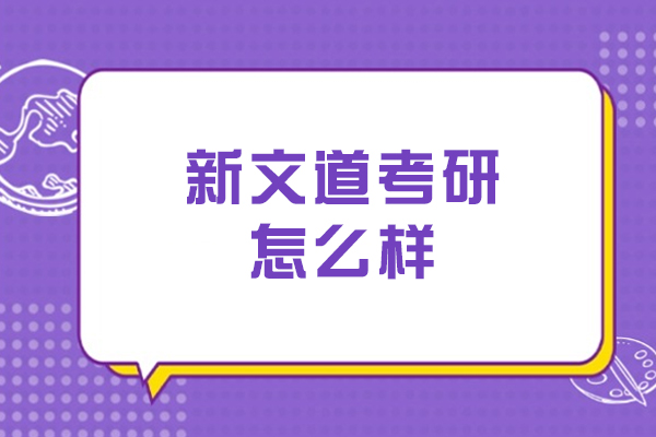 大连新文道考研深度解析：教学特色与服务体系全揭秘