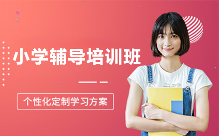 全方位解析：北京京普教育小学阶段辅导特色课程