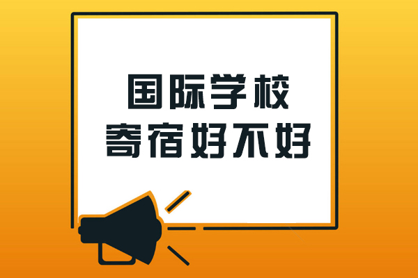 国际学校寄宿制度深度解析：培养独立性VS情感需求平衡
