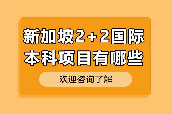 上海新加坡2+2國(guó)際本科深度解析｜雙校項(xiàng)目對(duì)比指南