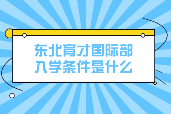 东北育才国际部入学评估体系全解析：五维选拔标准深度揭秘
