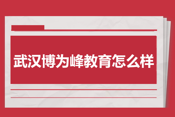 武汉博为峰教育机构怎么样