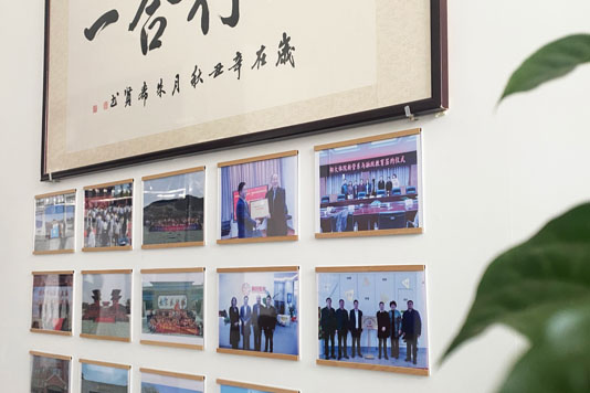 融跃教育和部分合作学校合影图片