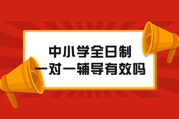 中小学全日制一对一辅导效果深度解析-个性化教学优势全揭秘