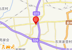 青岛中课网课