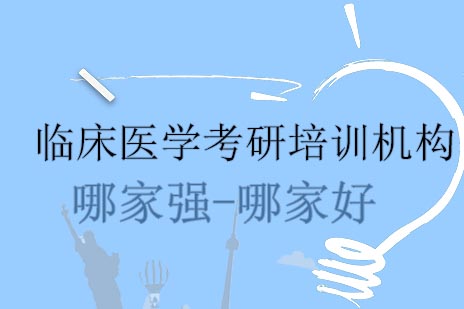 医学考研培训机构深度解析：课程体系与教学成效评估