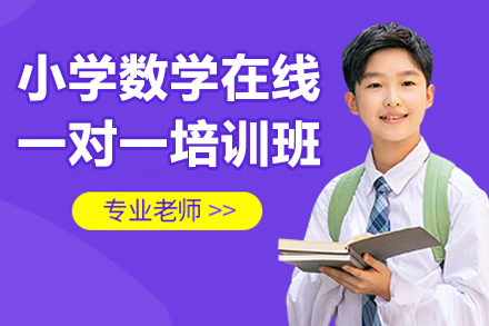 小学数学专项提升班｜线上1对1定制课程解析