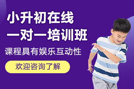 小升初冲刺必备：在线1对1培优方案深度解析