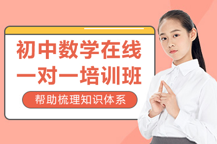 初中数学在线辅导突破秘籍：定制化学习方案解析